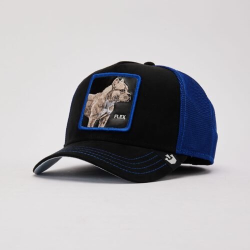 Goorin Bros Flex On Ya Trucker Hat