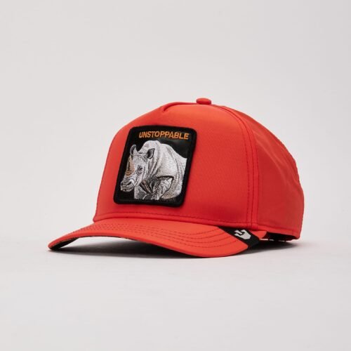 Goorin Bros Washington Pine Train Hat